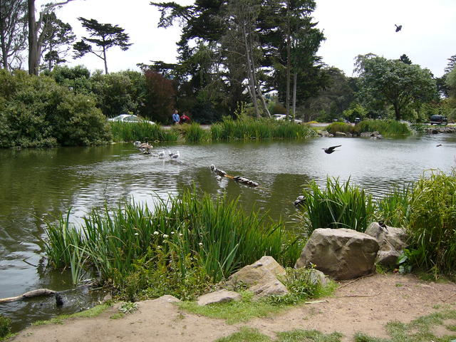 P1020290