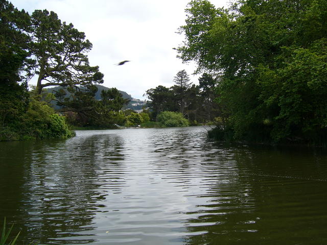 P1020292