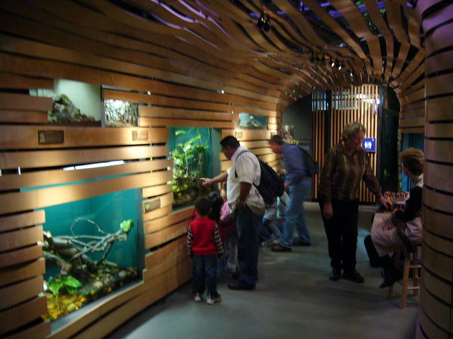 P1020307