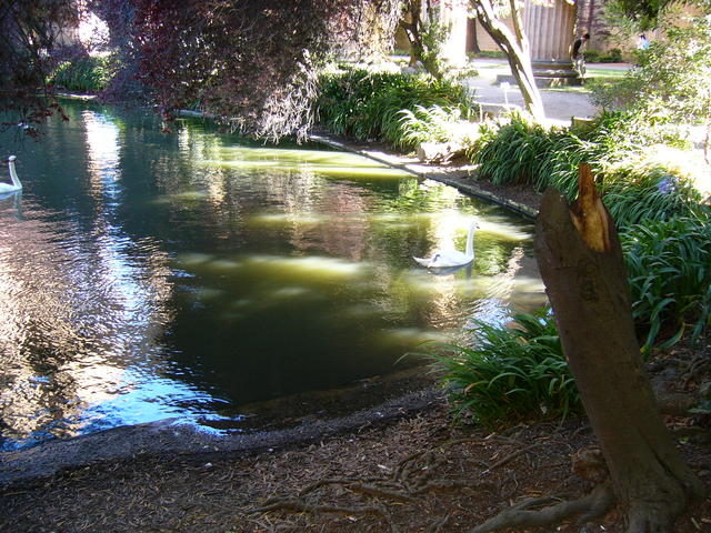 P1020473