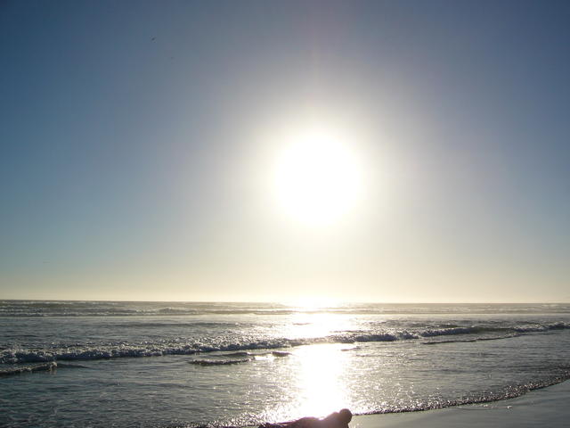 P1020502