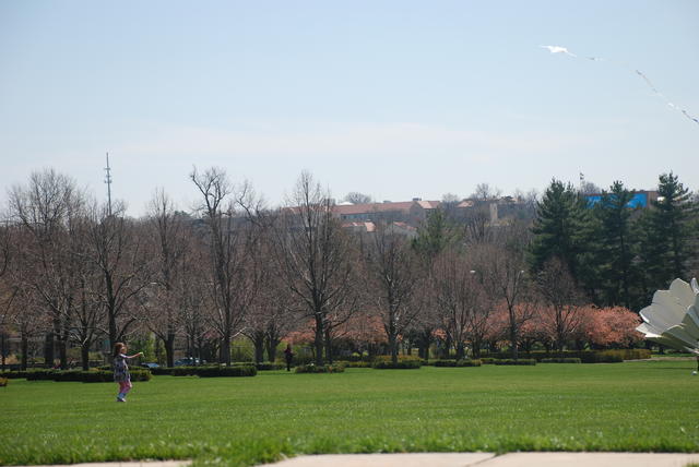 DSC_0186