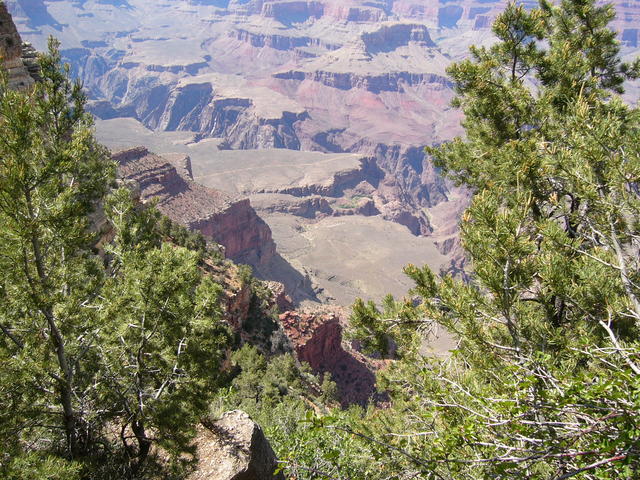 P1020122