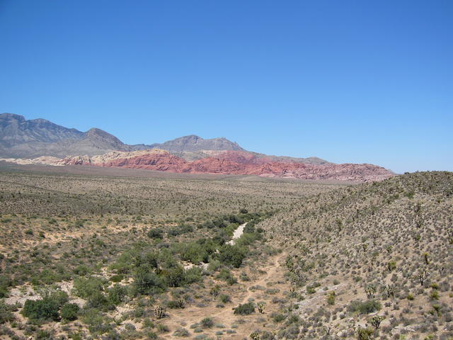 P1020169