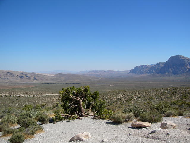 P1020189
